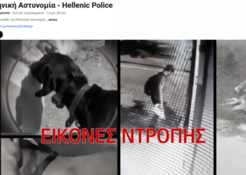 10410: Ντροπή! Η φωνή των ζώων έχει χρέωση