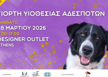 Βρείτε τον Νέο Τετράποδο Φίλο σας στο Designer Outlet Athens