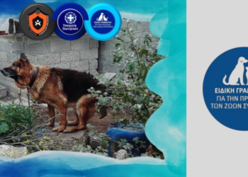 Ιεράπετρα: Σύλληψη & πρόστιμα για επίθεση σκύλου