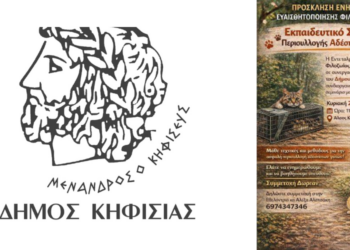 Κηφισιά Σεμινάριο: Περισυλλογή Αδέσποτων Γατών