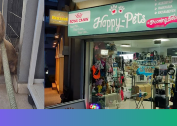 Η Lilly ξαναβρίσκει το χαμόγελο!