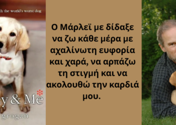 Marley& Me: Όταν η “Καταστροφή” Έχει 4 Πόδια