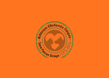 Πάτρα: Φυλάκιση σε άνδρα που έσυρε σκύλο