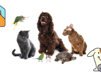 Ποιο Κατοικίδιο μου Ταιριάζει;