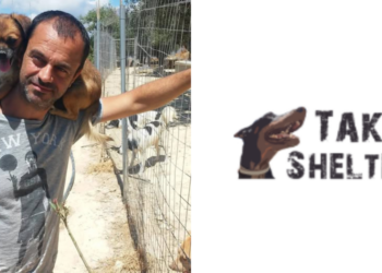 Takis Shelter vs Δήμου Ιεράπετρας για τα αδέσποτα