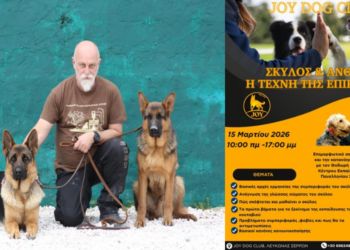 Θ. Τριάντης: Μεταδίδει τη Γνώση Του στις Σέρρες