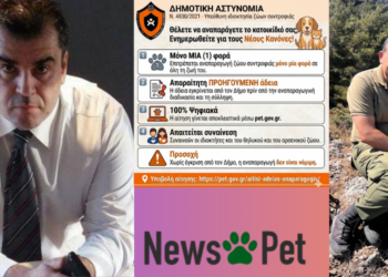 Μια προσωπική άποψη για το Γ. Γαϊτανάκη