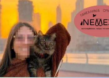 Επαναπατρισμός: Τι ισχύει για τα κατοικίδια