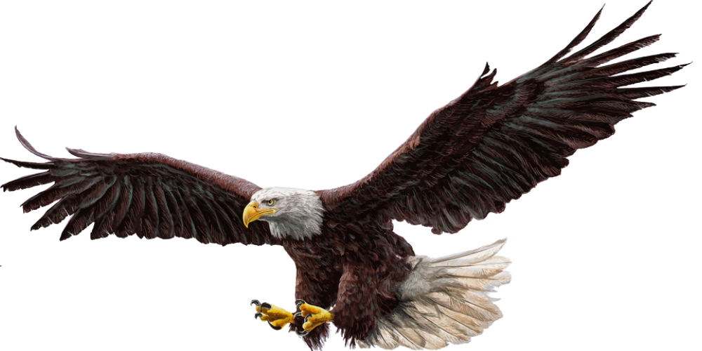 Νέμεσις-Αγώνας κατά της Εκμετάλλευσης Αρπακτικών