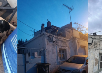 Η Κραυγή Βοήθειας από μια Ταράτσα στη Νίκαια