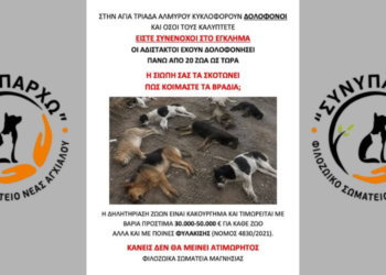 Φρίκη στον Αλμυρό: Μαζική δηλητηρίαση ζώων