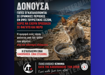 Δονούσα: Σοκ από την «εκκαθάριση» γατών