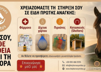 Ελπίδα για τα άλογα του Υμηττού