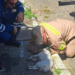 Ήρωες πυροσβέστες έσωσαν σκύλο στη Ζαχάρω