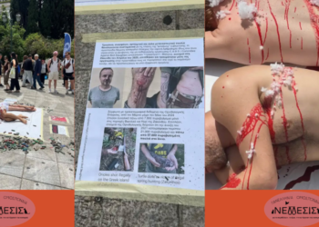 Σύνταγμα: Μια «κραυγή» για τα αποδημητικά πουλιά