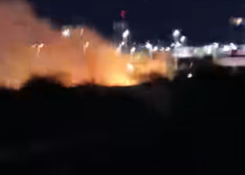 Φωτιά στο Πέραμα: Εθελοντές έσωσαν τα ζώα!