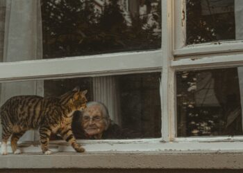 Η γυναίκα με γάτα: Στερεότυπο ή ανεξαρτησία;