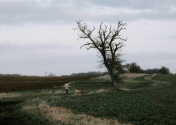 Η βόλτα με τον σκύλο μου άλλαξε τη ζωή