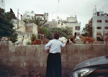 Γιατί συνδέσαμε τις ελεύθερες γυναίκες με γάτες;