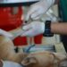 Εμβολιασμός ενήλικων σκύλων: Ο απόλυτος οδηγός