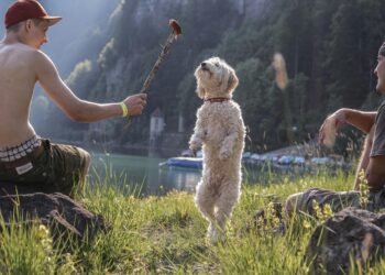 Dog events: Άντρες και σκύλοι δεμένοι