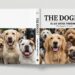 The Dogist-Η «Βίβλος» της σκυλίσιας φωτογραφίας