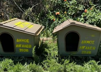 Αιγάλεω: 45 νέα σπιτάκια για αδέσποτες γάτες