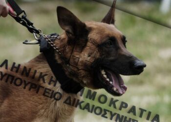 Τέμπη: Εκτός ερευνών η ομάδα ANUBIS