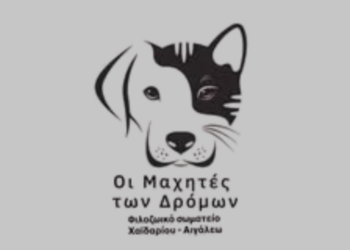 Δήμος Χαϊδαρίου: Η αλήθεια για το καταφύγιο