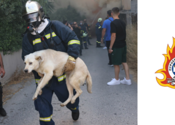 Ήρωας Πυροσβέστης στην Κρήτη: Δίνοντας Ελπίδα!