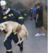 Ήρωας Πυροσβέστης στην Κρήτη: Δίνοντας Ελπίδα!