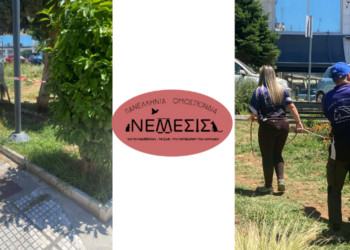 Θεσσαλονίκη: Μπλόκο σε παράνομη εκδήλωση με άλογα