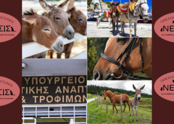 ΝΕΜΕΣΙΣ: Υψώνει ασπίδα προστασίας για τα Ιπποειδή