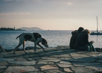 Κατοικίδια και Ζήλεια: Τι Φταίει;