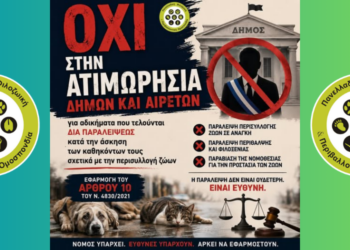 Αδέσποτα: Ασυλία στους Δήμους για παραλείψεις