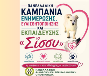 Καμπάνια Σίσσυ: Αλλαγή για τα ζώα στον Πηνειό