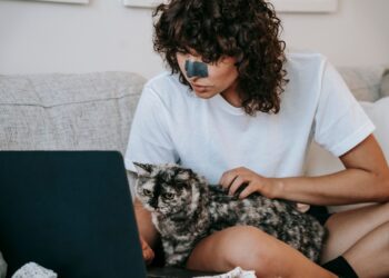 Τηλεργασία και γάτα: Ένας απρόσμενος συνδυασμός