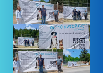 Δράση για τα αδέσποτα στη Μάνδρα