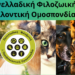 ΠΦΠΟ: Αλλαγές στον ν. 4830/2021 για τα ζώα