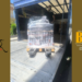 Σανίδα σωτηρίας για 68 σκύλους από την Belcando