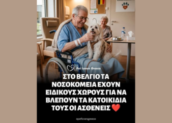 Κατοικίδια στα νοσοκομεία: Η νέα θεραπεία
