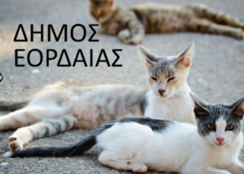 Δήμος Εορδαίας: Αδέσποτα, 520.000€ και εθελοντισμός