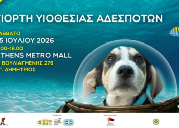 Ημερίδα Υιοθεσίας Σκύλων στο Athens Metro Mall