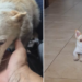 Η Fiona μάς θυμίζει τη δύναμη της αγάπης