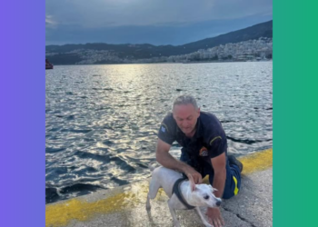 Καβάλα: Πυροσβέστης έσωσε σκύλο στη θάλασσα