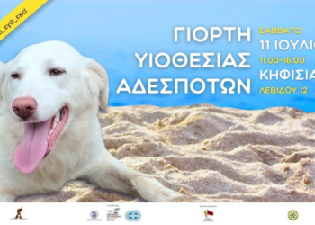 Γιορτή υιοθεσίας σκύλων στην Κηφισιά
