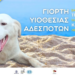 Γιορτή υιοθεσίας σκύλων στην Κηφισιά