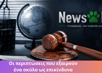 Πότε ένας σκύλος ΔΕΝ είναι επικίνδυνος