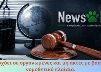 Σκύλοι σε παραλίες: Τι προβλέπει ο νόμος