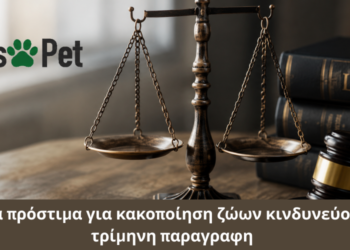 Η «βόμβα» της 3μηνης προθεσμίας